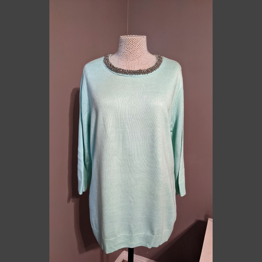 Mint New York & Company sweater